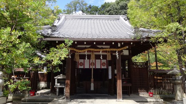 そもそも蓮華王院・三十三間堂の隣には法住寺殿という後白河のおうちがありました。<br />その法住寺の、鎮守寺には三十三間堂を、鎮守社には新熊野神社をということらしい。<br />鎮守というのは○○を守るための寺なり社なり、という意味ネ。<br />もっとも後白河さんは熊野大好きでほぼ年イチくらいで熊野御幸しちゃってる人であるからして、神様なら熊野がよかったんだろうよねー。