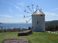 ギリシャを思い出すオリーブ園の風景