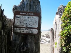 クレイロック・ビーチ（Kalaloch Beach）に到着です。
ビーチの前には “流木危険、水泳危険” の看板があります。