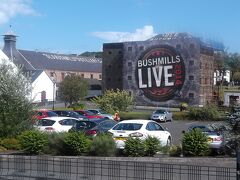 ブッシュミルズ(Bushmills)ウイスキー醸造所へ．

最古のウイスキー醸造所については定かでないようである．　ここはアイリッシュ・ウイスキーですが，1608年にジェームズ１世から免許を授かった最古の公認蒸留所と言っている．1608年ならスコッチも含めて最古だが，Wikipediaによると操業が確実に確認できるのは1784年らしい．
