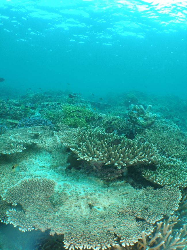 透明度も高いです。