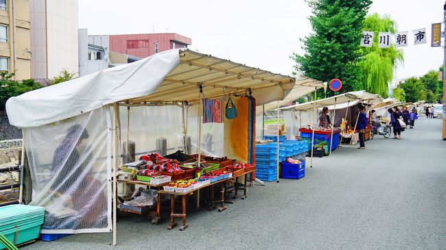 2日目の朝です。この日の行動は、高山の朝市を見ることからスタートです。高山の朝市は2カ所で開催されており、まずは規模の大きい宮川朝市から見て回ります。売っているものは、地元の野菜や果物、郷土の味、お土産等々になります。ちなみに、天気予報では晴れだったのですが、ご覧頂いておわかりの通り、最初はしばらく曇りがちでした。