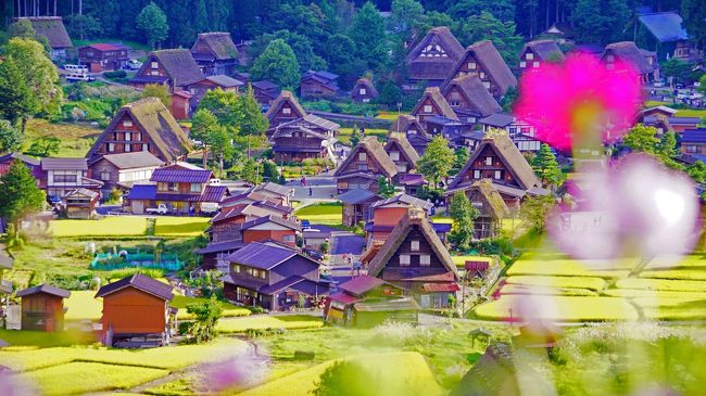飛騨高山 白川郷 14年9月 2泊3日 2日目 白川郷の合掌造り見学 お泊まり 白川郷 岐阜県 の旅行記 ブログ By Kosuさん フォートラベル