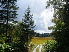 あっという間に、大江湿原の平坦部に到着♪