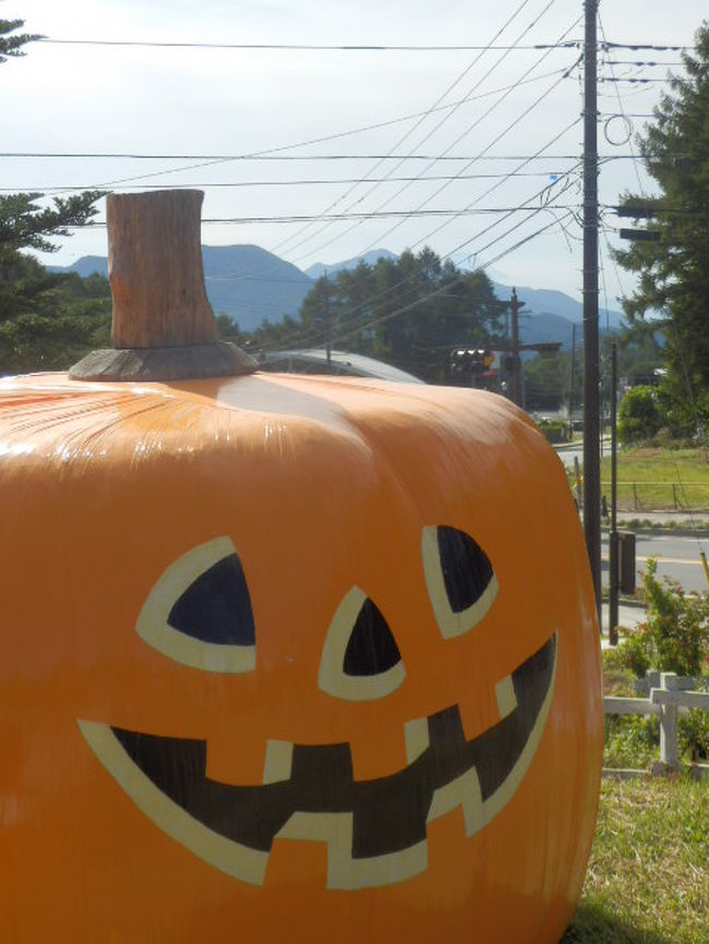 ここからもチラっと富士山が見えるよ！<br /><br />（このかぼちゃは牧草です、この後、牛たちの餌に。。。）
