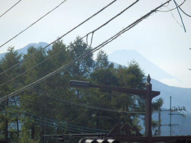 ズームして見ましょ！<br /><br />（チラっと見えますか？）