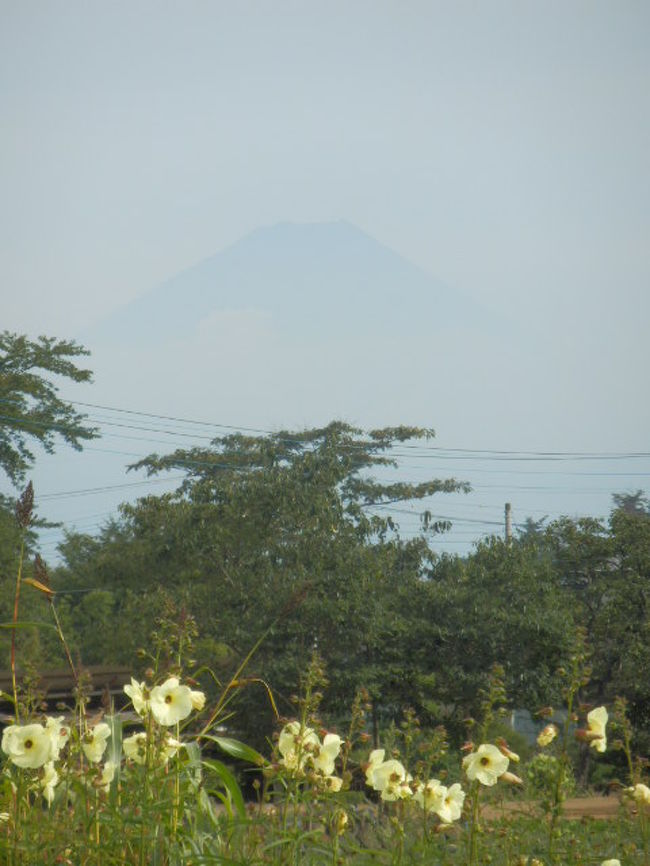 ≪中央自動車道＝長坂IC≫<br /><br />ぼんやり見える、富士山！