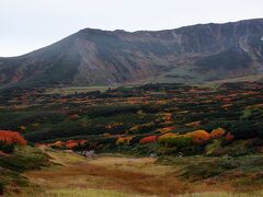 ３０分ほど歩くと、目指す裾合平が見えてきた。
大雪山系の中でも紅葉の名所として有名なところのひとつだ。