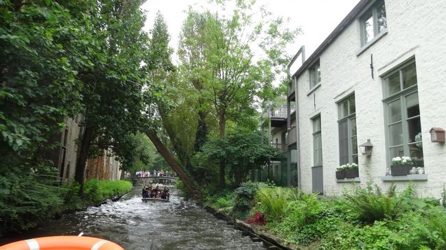 こんな感じに木々の下を進んでいくと、気分はジャングル探検ボート♪