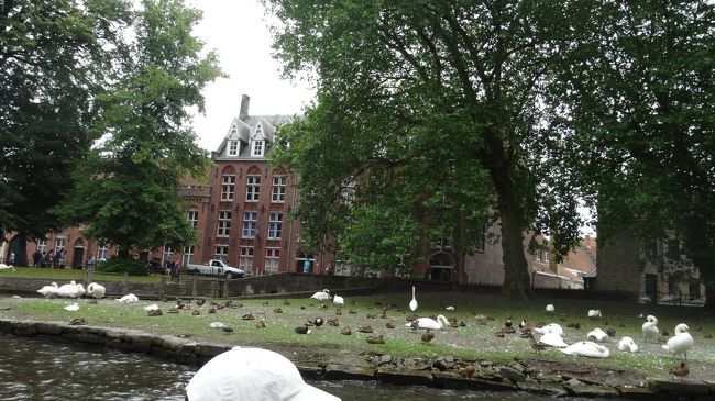 ベギン会修道院を過ぎ、ボートは「愛の湖」まで来ました。