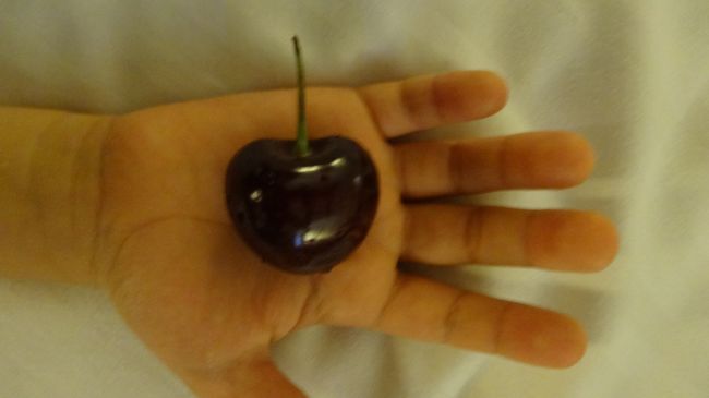 おやつに買った300gのブラックチェリーは、ジップロックに入れて洗いました。<br />大きくて堅さ甘みがちょうど良く、美味しくて止まらない！二人で一度に完食。<br />私たち親子は、種類関係なくさくらんぼ大好きなのです。
