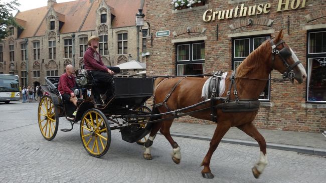 携帯を見ている御者さんを見かけ（写真とは無関係）<br />「こんな暑い中 馬はずっと走らされてるっというのに、人間はいばってiphoneかぁ。それでお金を独り占めなんて、酷いじゃない！」<br /><br />今度は脚に泥が付いた馬を見て<br />「人をいっぱい載せてヘトヘトなのに、馬はお風呂にすら入れてもらえないのかぁ。あーもうっ、かわいそう！」<br /><br />