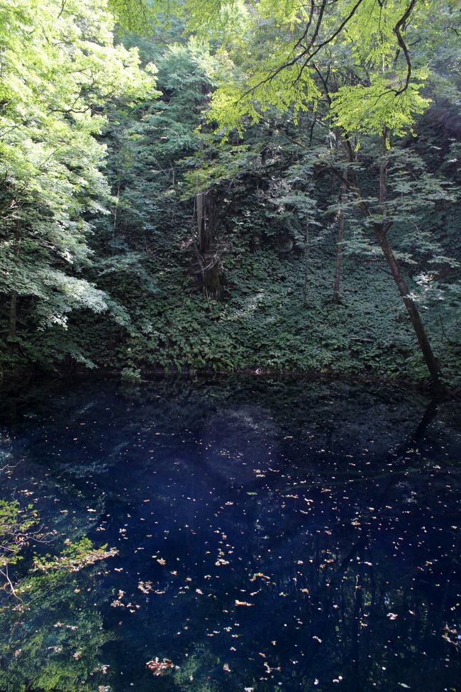 十和田湖 奥入瀬 白神山地その 14年9月 白神山地 青森県 の旅行記 ブログ By 温泉大好きさん フォートラベル 十和田湖 奥入瀬 白神山地その 14年9月 白神山地 青森県 の旅行記 ブログ By 温泉大好きさん フォートラベル