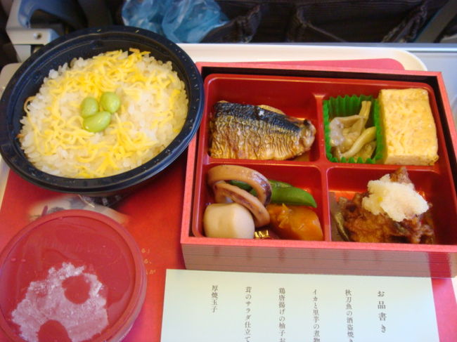 お待ちかねの機内食。東京恵比寿「賛否両論」がプロデュースしたお弁当です。秋刀魚の酒盗焼、いかと里芋も煮物、鶏唐揚げのゆずおろし添え、茸のサラダ仕立て、厚焼き玉子、ちらし風のごはん。ハーゲンダッツはチョコレート味。このお弁当、少し前の時期まではこのおかずに「普通の白飯」だったので、ちらし風になっていたのはラッキー！！ごはんもちょうどよい量でした。