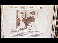 1872年（明治5年）から園内に遊具が置かれ始め、日本最古の動物園と言われる上野動物園が開園する1882年（明治15年）の10年も前から、ここ花やしきには動物を置いていた.......と書かれ......さり気無く日本最古の動物園もアピール......。

.....大正天皇が...お忍びで来られていたんですと....

畏れ多い......。

※
私はお忍びで来られたのは明治天皇だと思っていました...
