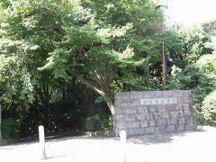 早速丘の上の荒井城跡の公園へ