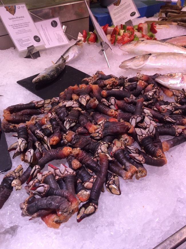 同じくサン・ミゲル市場の中のお店。なにかわからず撮ったのですが、後から調べたら、Percebes（ぺルセべス）通称 亀の手。高級食材で、貝の一種のようです。