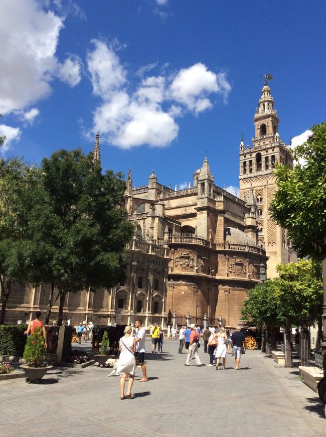 カテドラル。あいにく閉館していて入れませんでした。見えているのはヒラルダの塔。登ってみたかった。ちょうど14:00過ぎだったため、とても暑かったです。