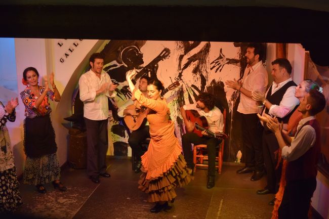 5人の踊り手と2人のギタリスト。3人の歌い手。総出で最後に踊ってくれました。ここだけは撮影OKでした。男性の踊り手を初めて見ました。どの踊り手も素晴らしかったです。