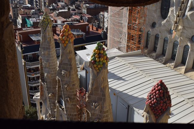 9時45分にエレベータで生誕の塔に登ります。<br />荷物は一つにしてロッカーにしまいました。<br /><br />その理由が、登ってみて分かりました。とても狭い螺旋階段を降りていくのに、荷物があっては、すれ違えません。<br /><br />外に見える果物の彫刻が可愛いです。春の植物をモチーフにしてるそうです。<br />