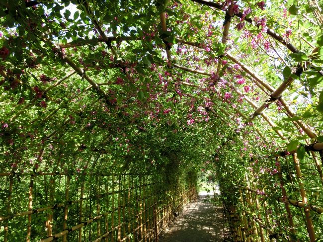 向島で140分 向島百花園 萩まつり セイコーミュージアム 浅草 東京 の旅行記 ブログ By Phophochangさん フォートラベル