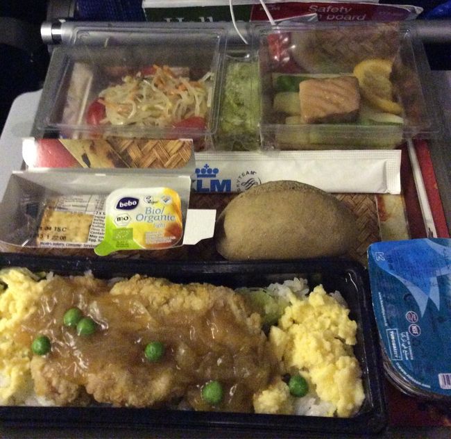 写真の最後は、機内食。メインは豚でした。