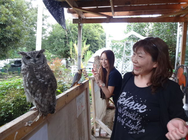 きゃぴきゃぴ親子 フクロウに会いにカフェ リトルズーへヽ ついでにヘビも抱いてくる編 船橋 習志野 千葉県 の旅行記 ブログ By もこちゃんさん フォートラベル