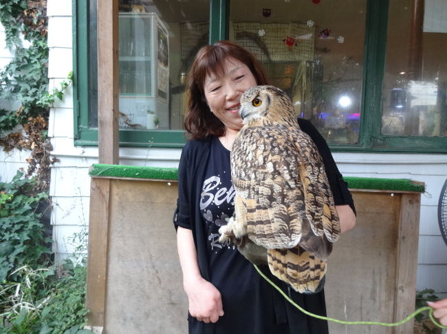 きゃぴきゃぴ親子 フクロウに会いにカフェ リトルズーへヽ ついでにヘビも抱いてくる編 船橋 習志野 千葉県 の旅行記 ブログ By もこちゃんさん フォートラベル