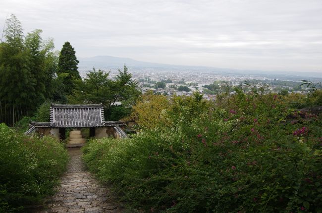 白豪寺（びゃくごうじ）拝観料(400円）