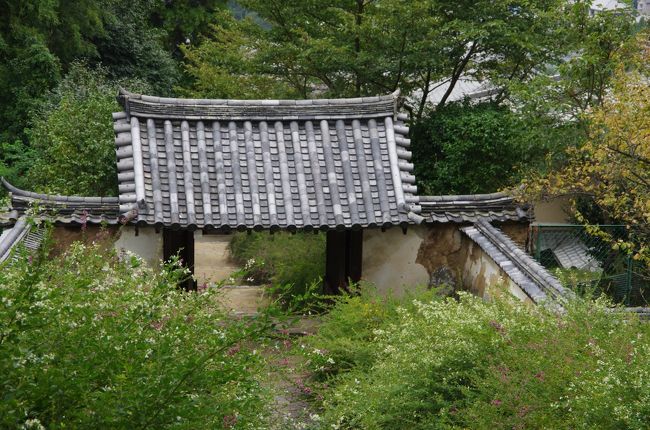 この剥がれたしっくいの土塀が大好き。。