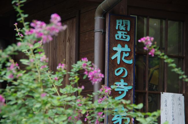 萩が似合うお寺。。