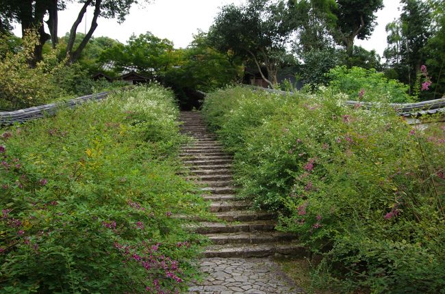それが、白豪寺（びゃくごうじ）