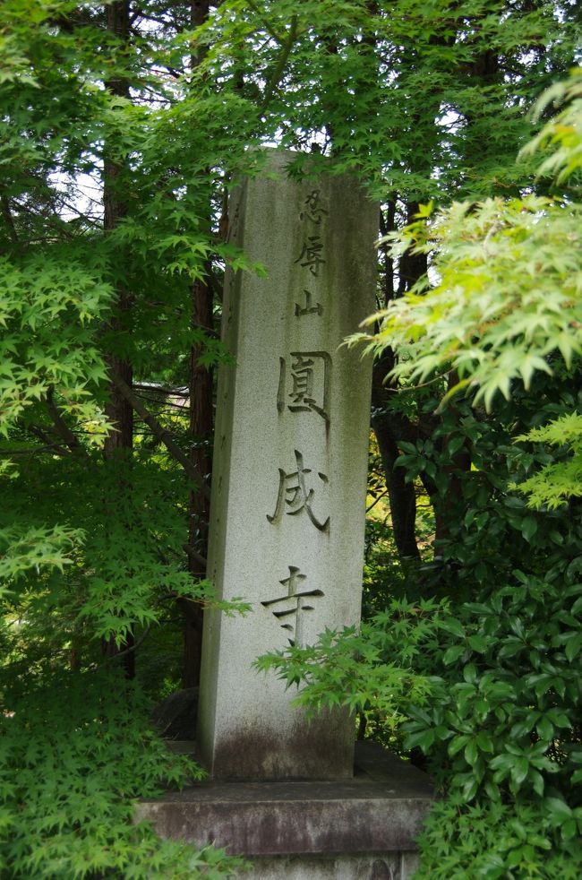 次の古刹は。。園成寺（えんじょうじ）