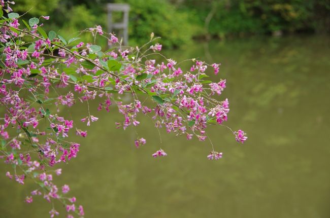 門前の庭園が自然で美しい・・