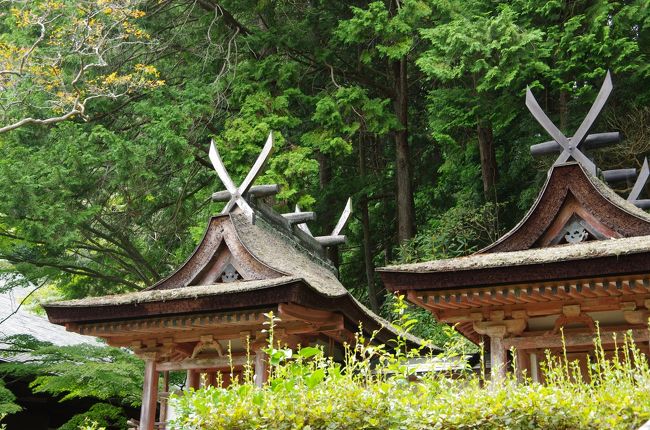 こちらは国宝の社殿、2棟。。