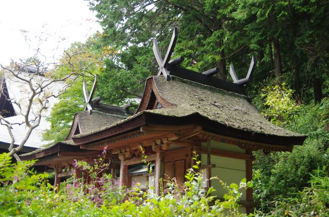 日本で最も旧い(鎌倉初期1228年）春日造社殿だそうなーー。