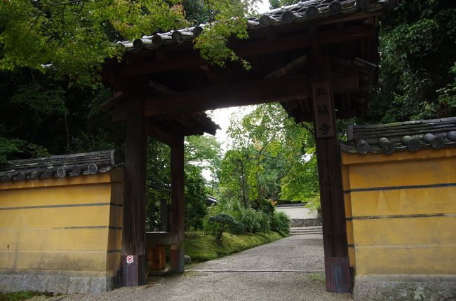 この日最後の寺は、秋篠寺。