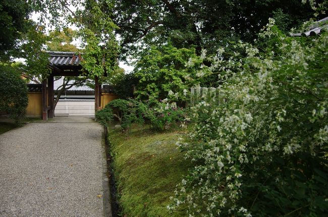 おうじが中学生だったころ以来だから、45年ぶりに訪れた。。