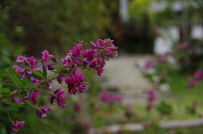 あの隙間風が寒かった荒れ寺が・・・昔、誰が想像したでしょう。。