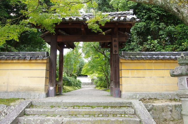 寧楽の人々が仏様を慕う心が、長い歴史を耐えてきた証しのようです。<br />日本人の素晴らしさを改めて感じました。<br /><br />おわり