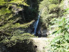 少し歩くと、最初の滝に遭遇…
雌滝で高さ19mの滝です。