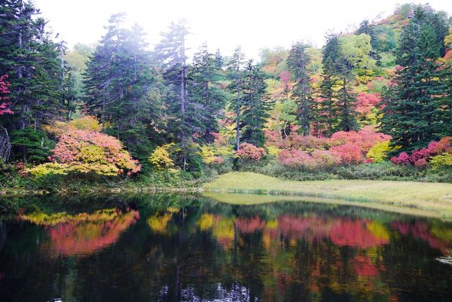 14 9 日本一早い紅葉 雪山縦走 満開のひまわりと四季を巡る旅 日本一早い紅葉 高原温泉沼巡り 層雲峡 北海道 の旅行記 ブログ By ゆんこさん フォートラベル