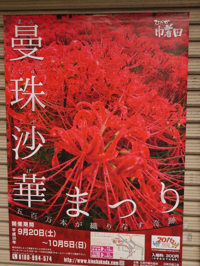 巾着田までの道のり、ポスターがいたるところに張り出され、曼珠沙華まつりを盛り上げています。