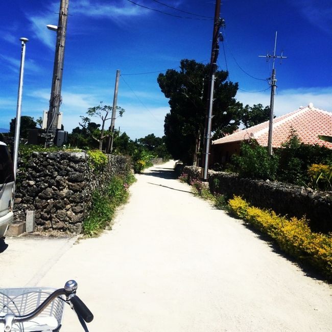 そして、お風呂入ってそっこう就寝。<br />明日も早起きよ！！！！！