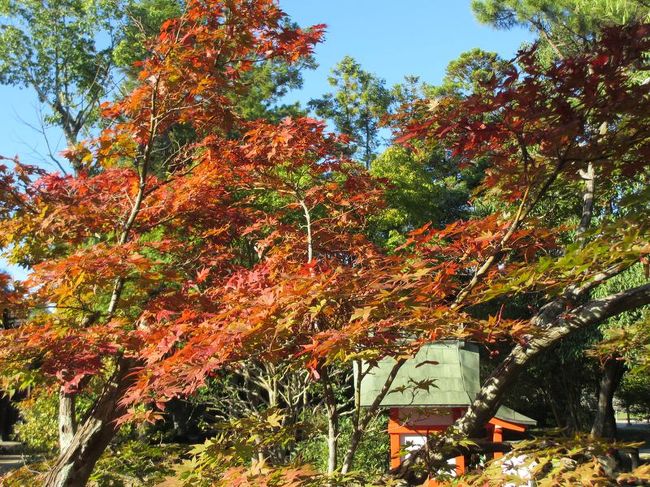 でも、友人も喜んでくれたので良かったです(笑)