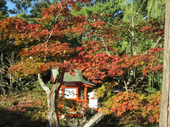 友人はミラーレスのカメラを持ってるので、一緒に撮ってみたものの、私は結局どう撮れば良いのかやっぱり良くわからず(^-^;