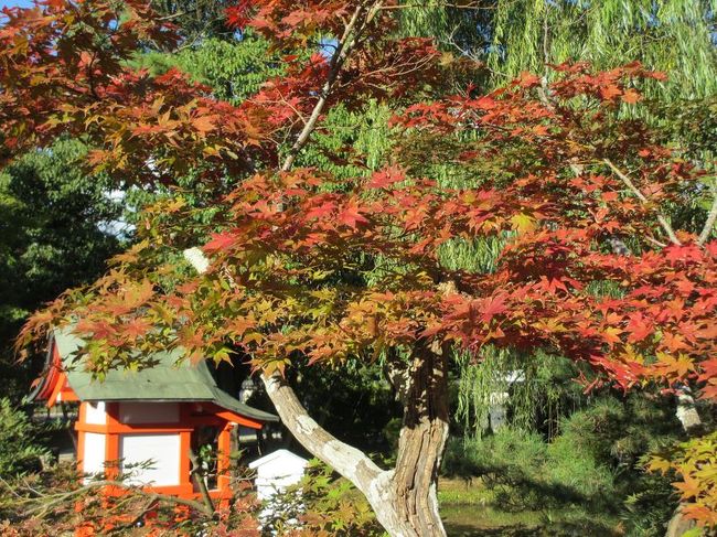 何となく、後ろにある小さな社を入れるのが良さそうかなと試行錯誤して、表紙写真のようなのも撮ってみたり。