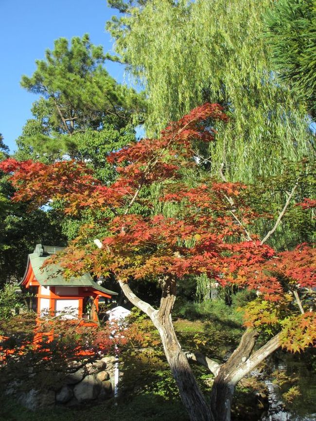 さらに後ろに大きな柳の木？があったので、それを入れてみたり(^-^;