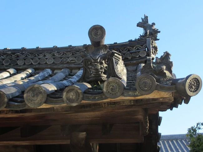 私は日傘を差しながらだったので、本当にちょこっとしか撮ってきませんでした（2回目だったしそもそも撮る気があまり無かった）が、小1時間ほど散策しました。