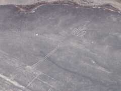 11:45　ナスカの地上絵　上空
45分ほどの空の旅を経て、ナスカの地上絵の上空に到着
一番見えやすかったのは「ハチドリ」
これで96mあるので、それなりに高度が高いところから見ていたのでしょう。